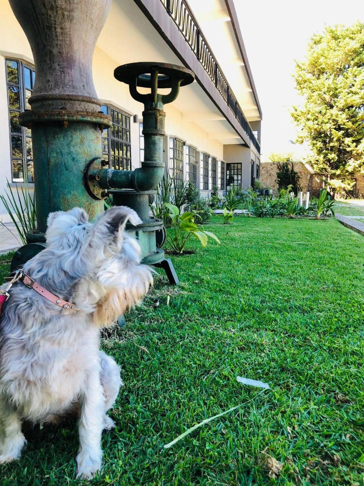 Hotel Rocaval San Cristóbal de Las Casas Esterno foto